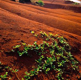 传《全境封锁》手游开发商天美J2工作室遭腾讯裁员